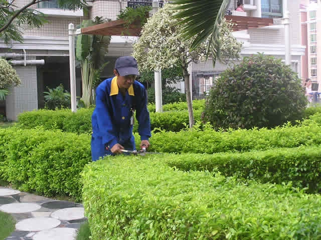 2012052937297049.jpg